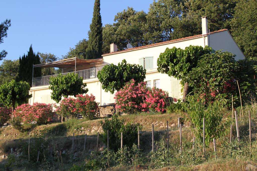 La Maison De La Cadiere Buitenkant foto